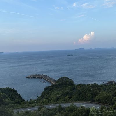 海